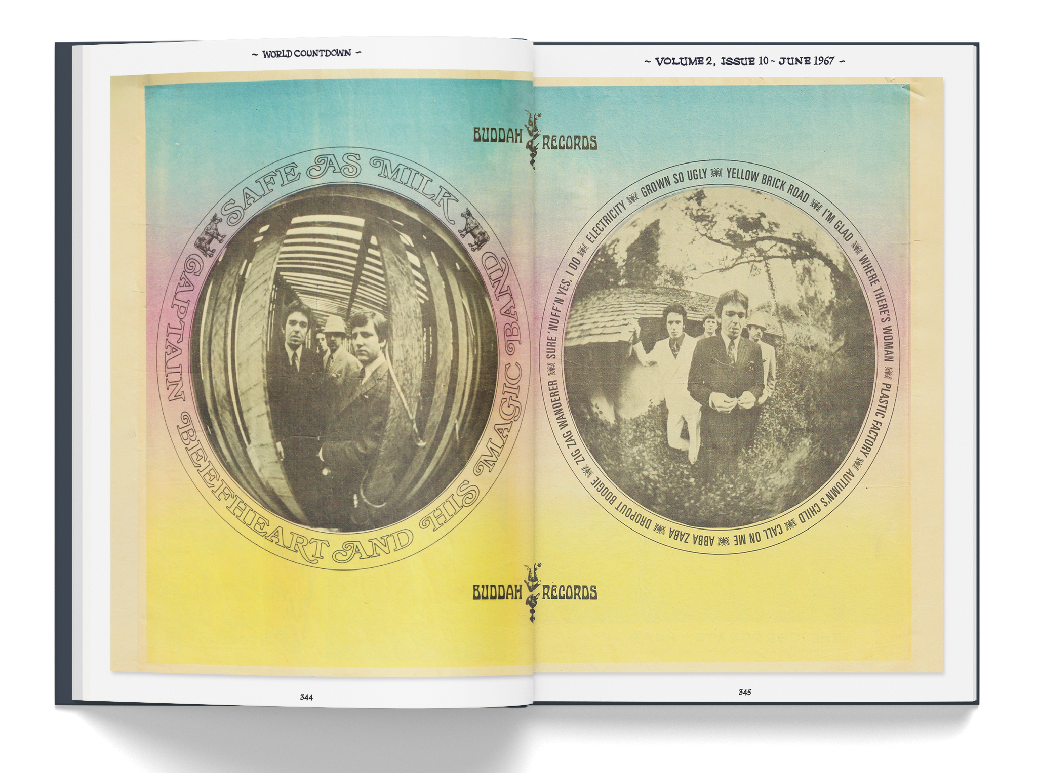 邦楽 Countdown to Evolution 邦楽 Countdown to Evolution Countdown